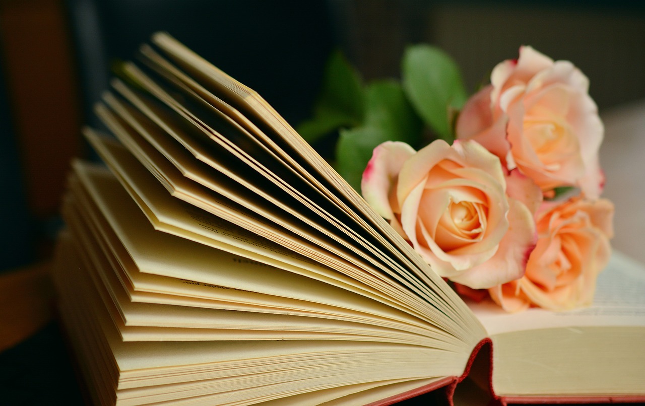 книга и розы